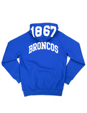 Load image into Gallery viewer, FAYETTEVILLE STATE HOODIE
