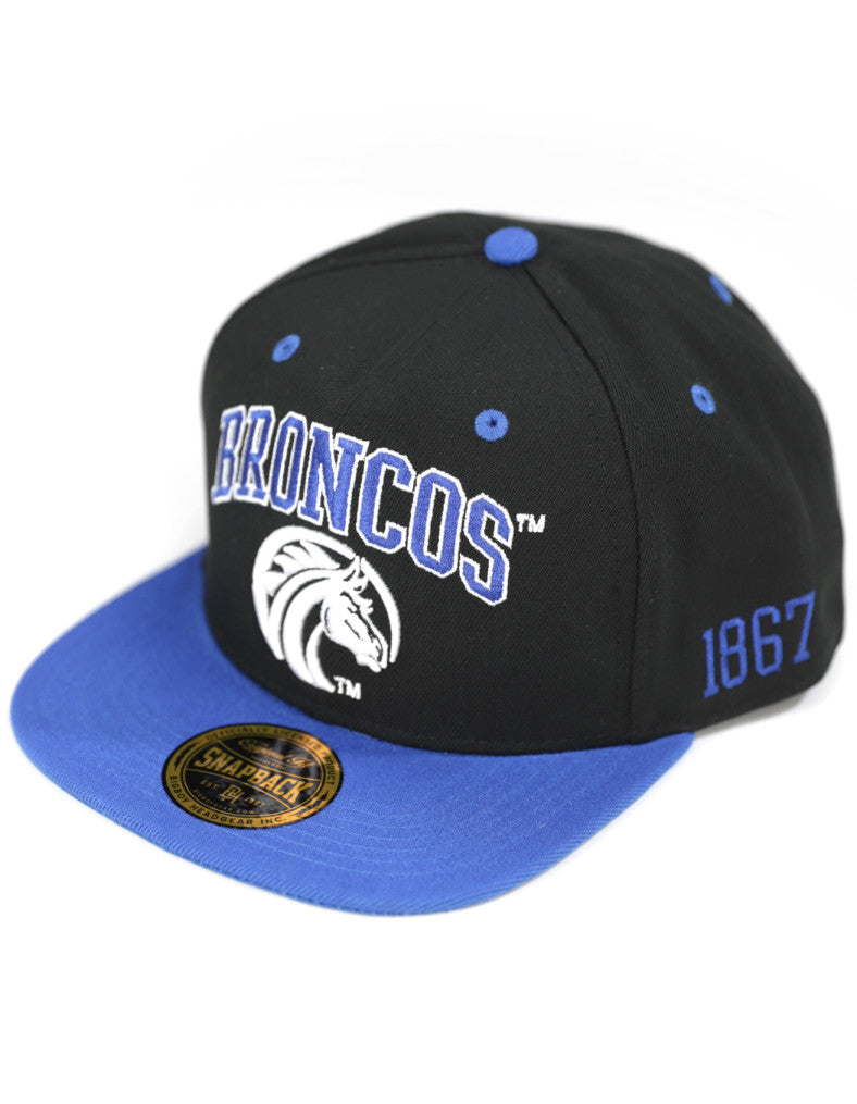 FAYETTEVILLE STATE SNAPBACK CAP