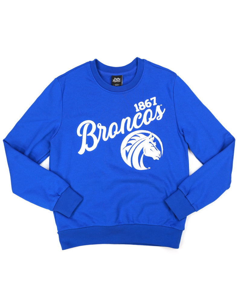 FAYETTEVILLE STATE SWEATSHIRT