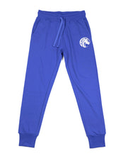 Load image into Gallery viewer, FAYETTEVILLE STATE WOMEN SWEAT PANT
