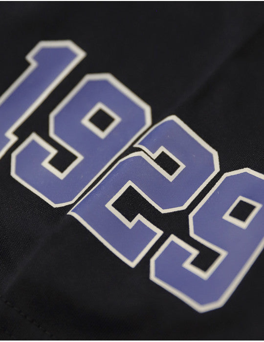 HOMESTEAD GRAYS DRY FIT TEE