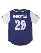 Load image into Gallery viewer, HOMESTEAD GRAYS BASEBALL JERSEY
