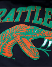 Load image into Gallery viewer, FLORIDA A&amp;M HOODIE
