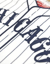 Load image into Gallery viewer, CHICAGO AMERICAN GIANTS HERITAGE JERSEY
