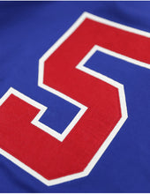 Load image into Gallery viewer, INDIANAPOLIS CLOWNS HERITAGE JERSEY
