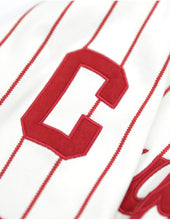 Cargar imagen en el visor de la galería, PITTSBURGH CRAWFORDS HERITAGE JERSEY
