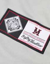Load image into Gallery viewer, NLBM COMMEMORATIVE BASEBALL JERSEY
