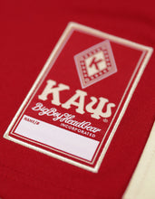 Load image into Gallery viewer, KAPPA ALPHA PSI FOOTBALL JERSEY
