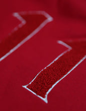 Load image into Gallery viewer, KAPPA ALPHA PSI PULLOVER HOODIE
