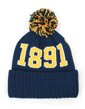 Load image into Gallery viewer, NORTH CAROLINA A&amp;T BEANIE
