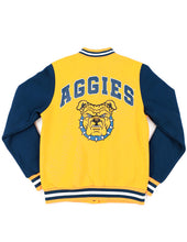 Load image into Gallery viewer, NORTH CAROLINA A&amp;T HOODIE
