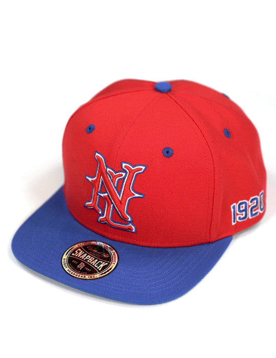 NLBM SNAPBACK CAP