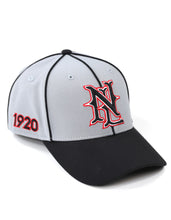 Load image into Gallery viewer, NLBM BALL CAP_GRAY
