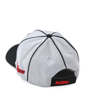 Load image into Gallery viewer, NLBM BALL CAP_GRAY
