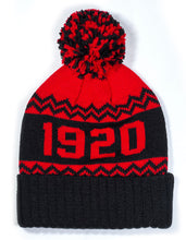 Load image into Gallery viewer, NLBM BEANIE
