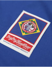 Cargar imagen en el visor de la galería, NLBM COMMEMORATIVE BASEBALL JERSEY_BLUE
