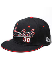 Load image into Gallery viewer, BIRMINGHAM BLACK BARONS LEGACY CAP
