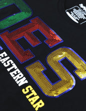 Cargar imagen en el visor de la galería, OES SEQUIN PATCH TEE_BLACK

