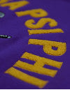 Cargar imagen en el visor de la galería, Omega Psi Phi Pullover Hoodie
