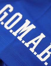 Load image into Gallery viewer, PHI BETA SIGMA DRY FIT TEE

