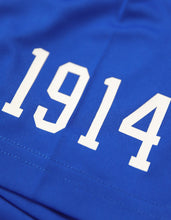 Load image into Gallery viewer, PHI BETA SIGMA DRY FIT TEE
