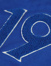 Load image into Gallery viewer, Phi Beta Sigma Pullover Hoodie
