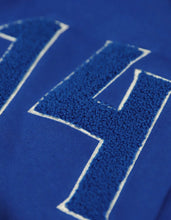Load image into Gallery viewer, Phi Beta Sigma Pullover Hoodie
