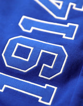 Load image into Gallery viewer, PHI BETA SIGMA JOGGER PANT
