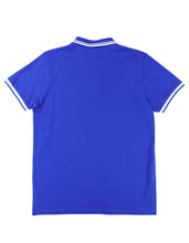 Load image into Gallery viewer, PHI BETA SIGMA POLO SHIRT
