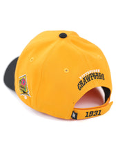 Cargar imagen en el visor de la galería, PITTSBURGH CRAWFORDS LEGACY CAP
