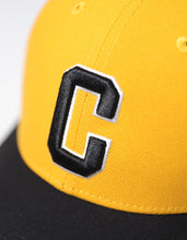 Cargar imagen en el visor de la galería, PITTSBURGH CRAWFORDS LEGACY CAP
