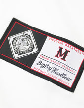 Load image into Gallery viewer, CHICAGO AMERICAN GIANTS BASEBALL JERSEY
