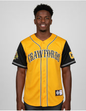 Load image into Gallery viewer, PITTSBURGH CRAWFORDS BASEBALL JERSEY
