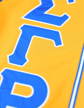 Load image into Gallery viewer, SGR BASEBALL JERSEY_GOLD
