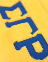 Load image into Gallery viewer, Sigma Gamma Rho Fur Bag (Gold)
