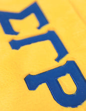 Cargar imagen en el visor de la galería, Sigma Gamma RHO FUR BAG_GOLD
