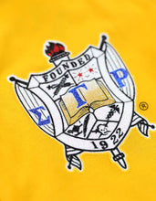 Load image into Gallery viewer, Sigma Gamma RHOLONG SLEEVE JERSEY_GOLD
