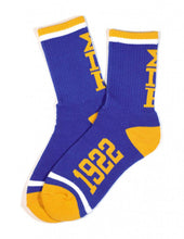 Load image into Gallery viewer, SIGMA GAMMA RHO SOCKS
