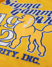 Cargar imagen en el visor de la galería, SIGMA GAMMA RHO WINDBREAKER
