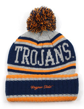 Load image into Gallery viewer, VIRGINIA STATE BEANIE
