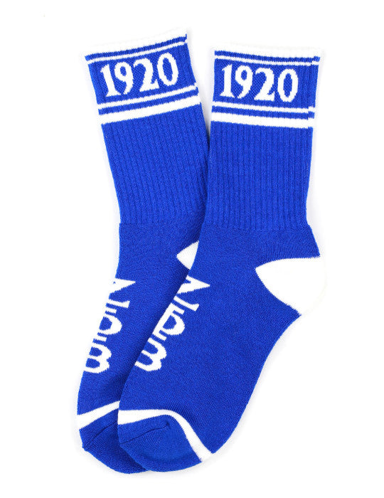 Zeta Phi Beta 1920 Blue Socks