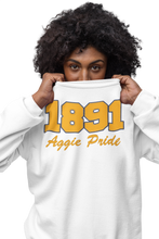 Cargar imagen en el visor de la galería, North Carolina A&amp;T 1891 Aggie Pride Embroidered Sweatshirt White
