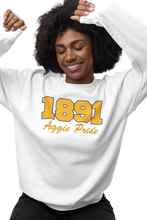 Cargar imagen en el visor de la galería, North Carolina A&amp;T 1891 Aggie Pride Embroidered Sweatshirt White
