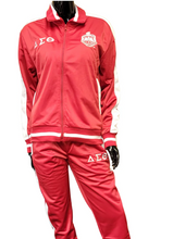 Load image into Gallery viewer, Delta Vintage Track Suit
