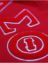 Cargar imagen en el visor de la galería, Sudadera con capucha Delta Sigma Theta
