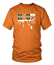 Load image into Gallery viewer, FAMU HBCU Drip T-shirts (Orange)
